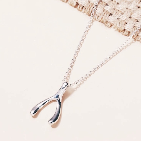 🍀 Style & Glamour Silver Lucky Wishbone Pendant Necklace - New With Tags - Picture 6 of 7